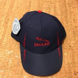 Blue Jaguar Hat